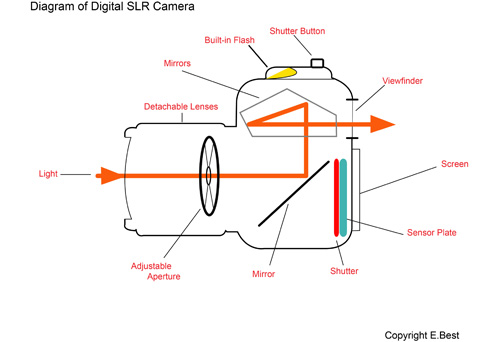 How Cameras work The History Of